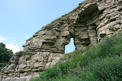 ����-������