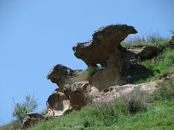 ��� �� �������