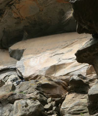 ��� ������