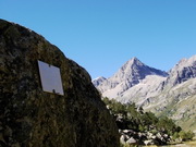 �������� �������� �����, �����