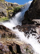 ����� ����